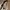 Vintage Y2K Sunglass Pria black gray photo 3