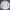 Crocodile Streetwear Casual shirt Pria multicolor blue photo 1
