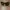 Vintage Y2K Sunglass Pria red black photo 1