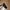 Vintage Y2K Sunglass Pria red black photo 4