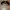 Vintage Y2K Sunglass Pria red black photo 2