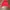 Vintage Y2K Hoody Pria red photo 1