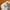 Adidas Sportswear Sneakers Pria white photo 4