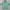 Uniqlo Sportswear Casual Track jacket Wanita green photo 2