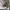 Acme De La Vie  Streetwear Hoody Pria white photo 3