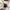 Acme De La Vie  Streetwear Hoody Pria white photo 4