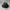 Vintage Hat Pria gray photo 1