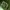 Nike Sportswear Pria green photo 7