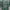 ZARA Casual Wanita green photo 1