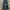 EDWIN Vintage Jeans Pria multicolor photo 2