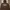 GAP Streetwear Hoody Pria Brown Black