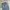 Carhartt Vintage Y2K Jeans Pria blue photo 2