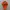 Adidas Y2K Casual Jersey Pria orange photo 5
