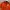 Adidas Y2K Casual Jersey Pria orange photo 2