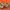 Asics Streetwear Sneakers Pria silver orange photo 2