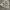 VANS Streetwear Indie Hat Pria green gray photo 1