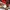 Puma Cosplay Casual Jersey Pria red black photo 4