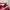 Puma Casual Sneakers Wanita red photo 2