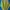 Vivastudio Streetwear Sweater Pria multicolor photo 1