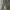 Dickies Streetwear Skater Casual pants Pria gray photo 5