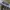 Dickies Streetwear Skater Casual pants Pria gray photo 2
