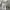 Carhartt Casual T-shirt Pria gray photo 4