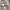 GU Sportswear Futurist Hoody Pria Gray