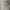 Polo Ralph Lauren Luxury Casual Polo shirt Pria white photo 2