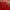 Burberry Casual Polo shirt Pria red photo 4