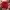 Burberry Casual Polo shirt Pria red photo 1