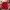 Burberry Casual Polo Shirt Pria Red