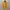 The North Face Gorpcore Sportswear Track jacket Pria blue yellow photo 1