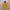 The North Face Gorpcore Sportswear Track Jacket Pria Blue Yellow