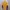 The North Face Gorpcore Sportswear Track jacket Pria blue yellow photo 2