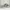 Under Armour Sportswear Casual shoe Pria cream photo 3