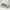 Under Armour Sportswear Casual shoe Pria cream photo 4