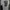 Beaumont Carr Grunge Goth Sweatshirt Pria white black photo 2