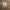 Carhartt Vintage Casual pants Pria tan khaki photo 6