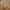 Carhartt Vintage Casual pants Pria tan khaki photo 3