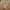 Carhartt Vintage Casual pants Pria tan khaki photo 5