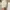 COLORBOX Streetwear Casual Skirt Wanita white cream photo 1