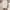 COLORBOX Streetwear Casual Skirt Wanita white cream photo 2
