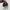 Converse Casual Sneakers Pria white black photo 4