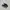 Converse Casual Sneakers Pria white black photo 1