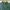 Nike Casual Polo shirt Pria green photo 4