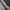Reebok Casual Sweater Pria gray photo 4