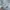 Nike Streetwear Sneakers Pria white gray photo 5