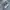 Nike Streetwear Sneakers Pria White Gray