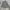 Polo Ralph Lauren Vintage Harrington jacket Pria gray photo 4