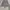 Polo Ralph Lauren Vintage Harrington jacket Pria gray photo 2